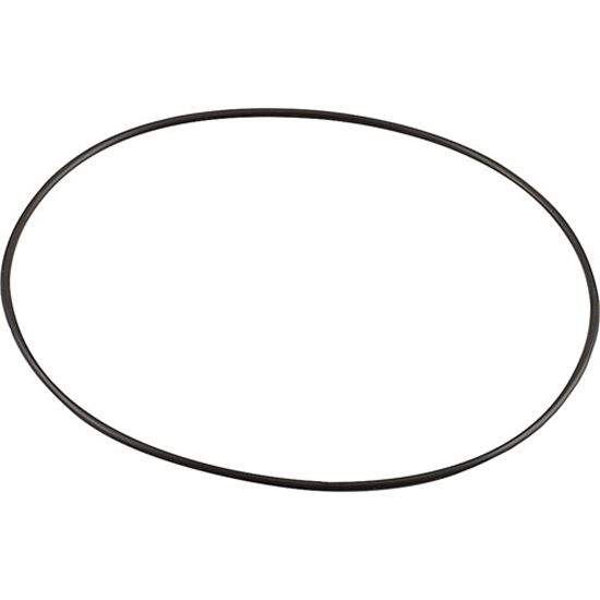 Picture of O-Ring,Water Pump for Manitowoc Part# 5004659