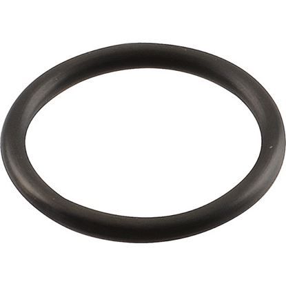 Picture of O-Ring,Water Pump (Outlet) for Manitowoc Part# 50-0467-9