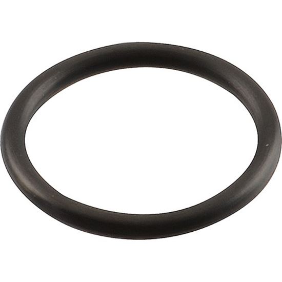 Picture of O-Ring,Water Pump (Outlet) for Manitowoc Part# 5004679