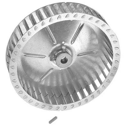 Picture of Blower Wheel9-7/8D X 2W 5/8 for Market Forge Part# 10-5453