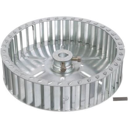 Picture of Blower Wheel8-1/2D X 2-1/8W 5/8 for Blodgett Part# 06138