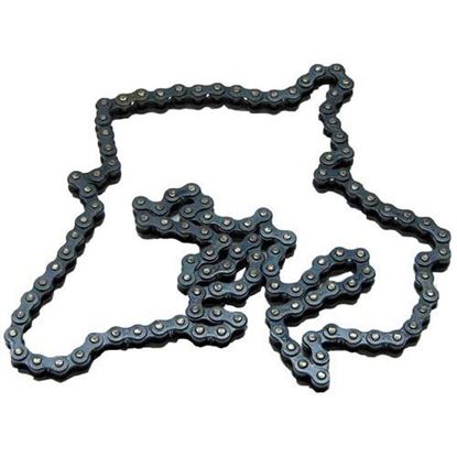 Drive Chain for Roundup Part# 7001330