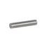 Picture of Pin, Stop - For Hinge for TRUE Part# E832103