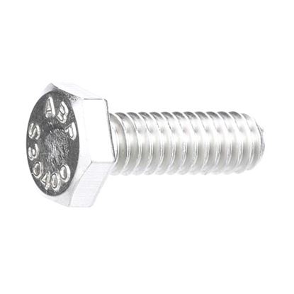 Picture of Screw for Hobart Part# SC-041-01