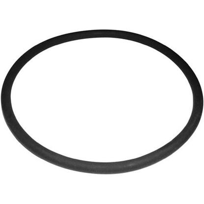 Picture of O-Ring for Roundup Part# 0200121