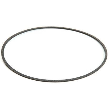 Picture of Gasket For Gould Pump for Stero Part# 0A-573287