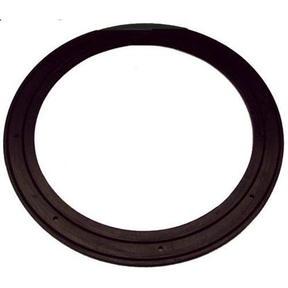 Picture of Gasket for Champion Part# 0501881