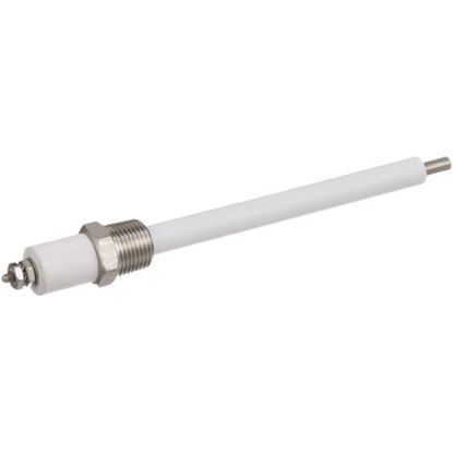 Picture of Probe for Groen Part# 070178
