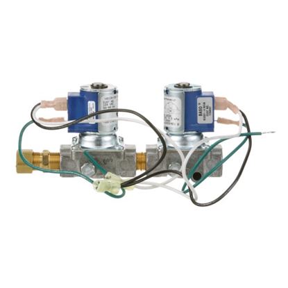 Picture of Dual Solenoid Valve - 120V for Southbend Part# 1194597