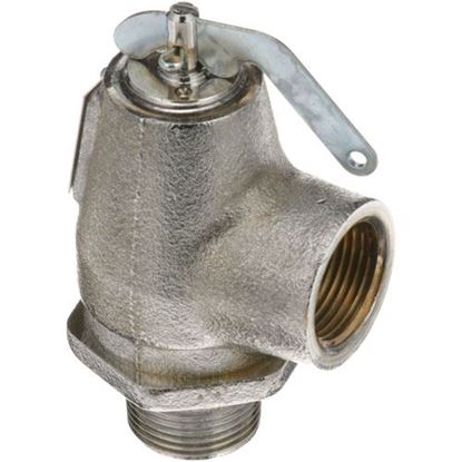 Safety Valve3/4"M X 3/4"F for Groen Part# 004010