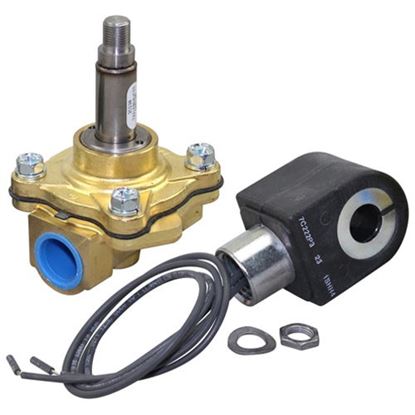 Picture of Steam Solenoid Valve1/2" 120V for Market Forge Part# 10-5859