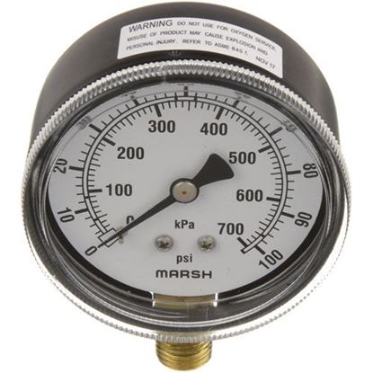 Picture of Pressure Gauge2-1/2, 0-100Psi for Cleveland Part# 07169