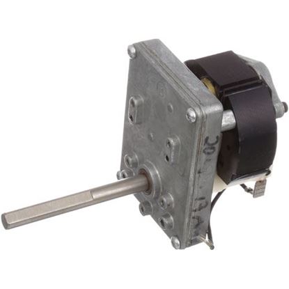 Picture of Conveyor Drive Motor230V for Champion Part# 0507145