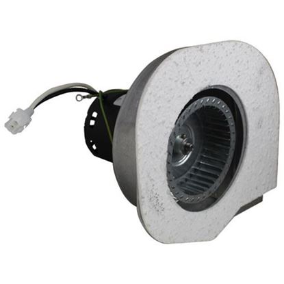 Exhaust Motor for Hatco Part# 02-12-052-00