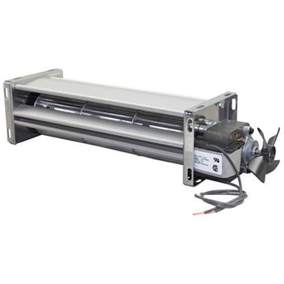 Blower Assembly for Glasstender Part# 06001453