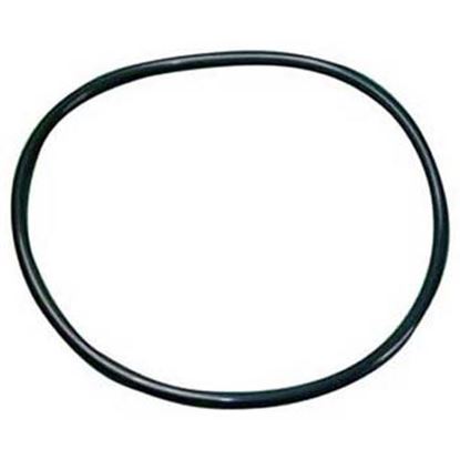 Picture of O-Ring (Steamer Gasket) for Roundup Part# 0200187