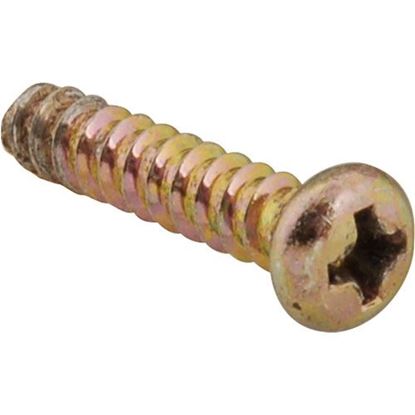 Picture of Screw, Phillips Head for Waring/Qualheim Part# 027181