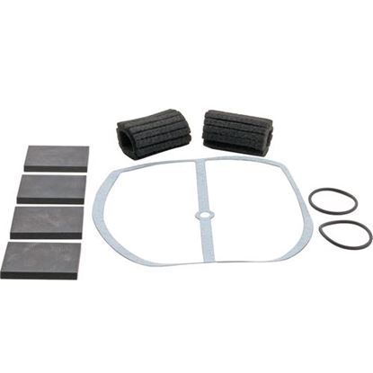 Picture of Pump Service Kit for Darling Part# 700521