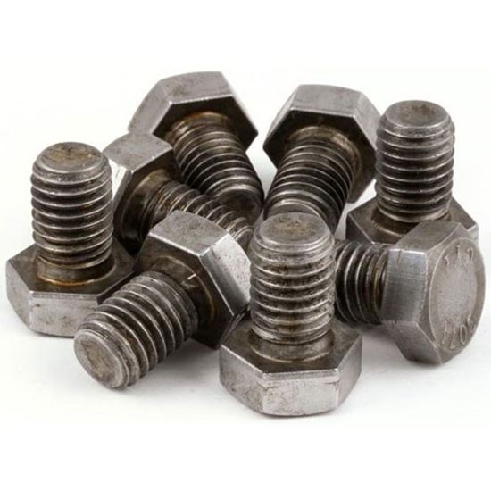 Picture of Bag & 8 Bolt Assy for Blodgett Part# 07847