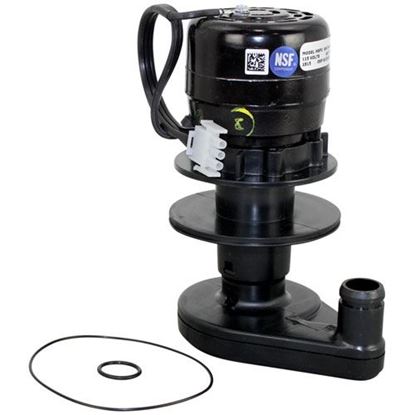 Picture of Water Pump - 115V for Manitowoc Part# 000000680