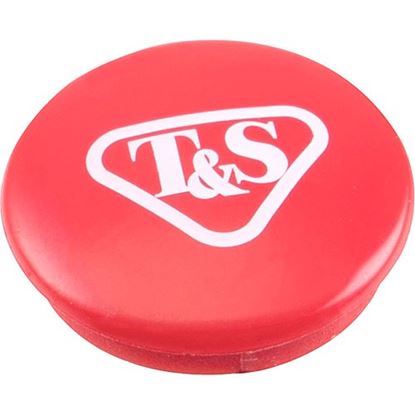 Picture of Red Button for T&s Part# 00119319NS