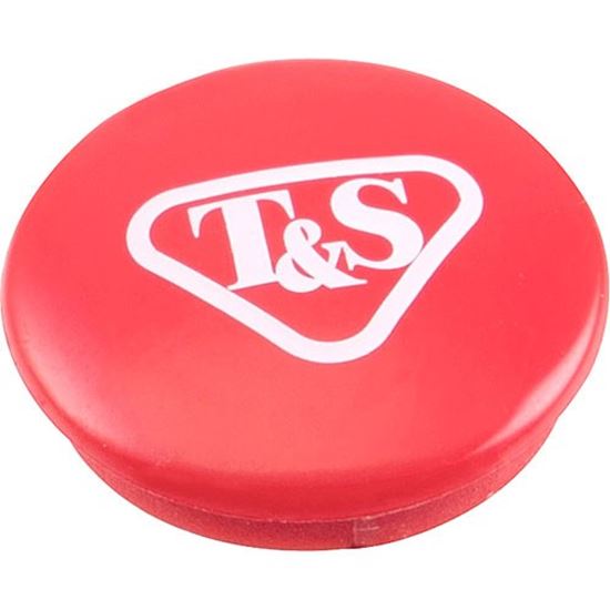 Picture of Red Button for T&s Part# 00119319NS