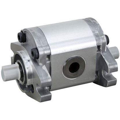 Picture of Hydraulic Pumptr #Gp-F10-6.1-P6-C for Cleveland Part# SK2378802