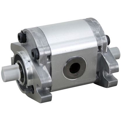 Picture of Hydraulic Pumptr #Gp-F10-6.1-P6-C for Cleveland Part# SK2378802