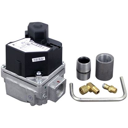 Picture of Gas Valve Kit for Cleveland Part# KE003671-1