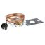 Picture of Control, Tempsingle Pole Mechanical for Delfield Part# 3516054