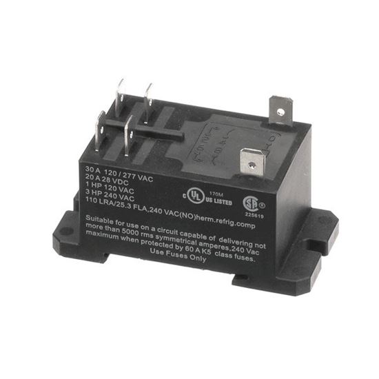 Picture of Relay, 240Vac 30A, Dpst for Champion Part# 0514162