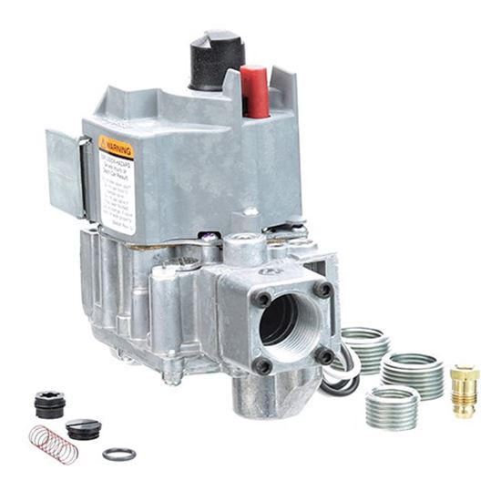 Picture of Safety Valve for Legion Part# 456513