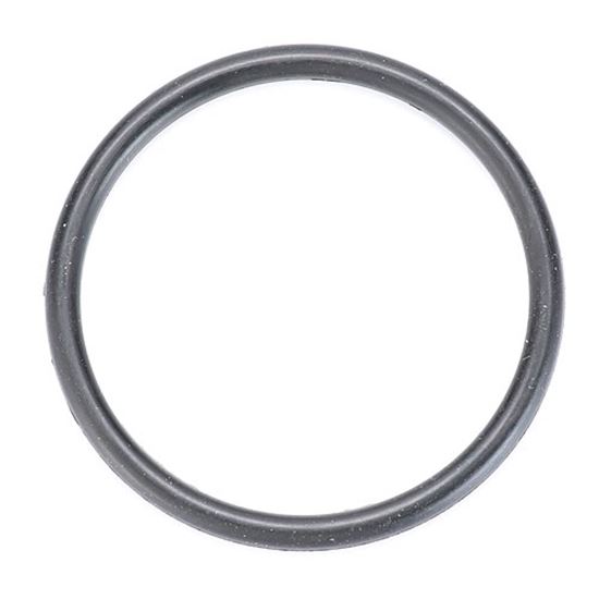 Picture of O-Ring, Parker #2-124, Large for B K Industries Part# OOO14