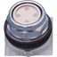 Picture of Switch, Push-Button, Start/Stop for Falcon Part# 1001001