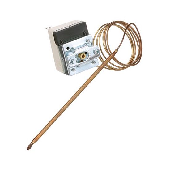 Picture of Thermostat for Legion Part# 407568-1
