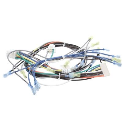 Picture of Control Harness, Wendysgas for Southbend Part# 1195321