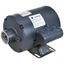 Picture of Motor,Fry Filter Pump for Dean Part# 8102100