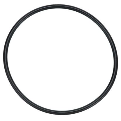 Picture of O Ring Seal (Head) for Ice-O-matic Part# 9051636-01