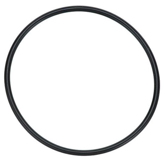 Picture of O Ring Seal (Head) for Ice-O-matic Part# 9051636-01