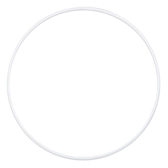 Picture of Ring for Hoshizaki Part# 431736-01
