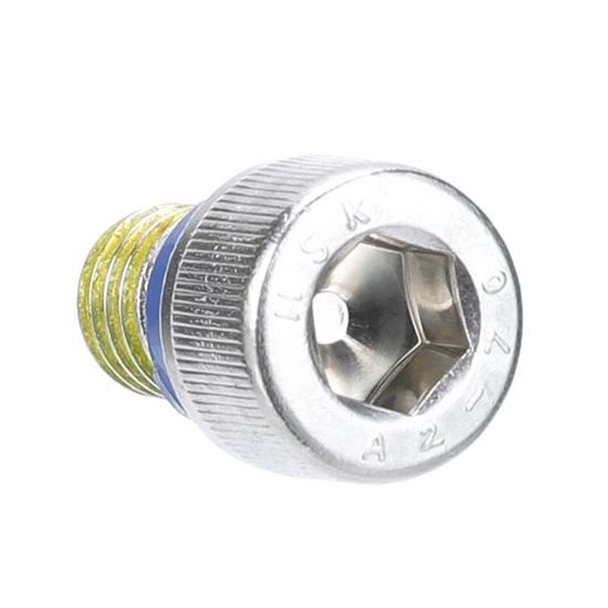 Picture of Seal Bolt - M10 for Hoshizaki Part# 474757G02