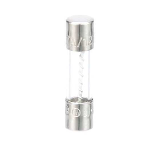 Picture of Fuse for Hoshizaki Part# 4A3804-01