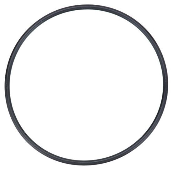 Picture of O-Ringjis G90 for Hoshizaki Part# 4A4755-04