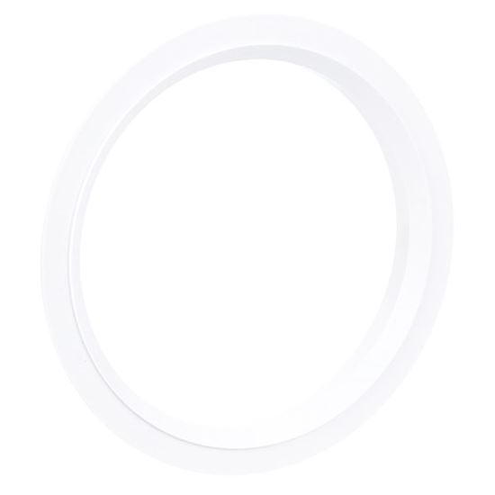 Picture of Ring for Hoshizaki Part# 3A1017-01