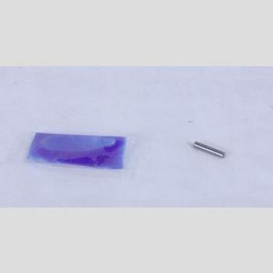 Picture of Hinge Pin Kit for TRUE Part# E210219
