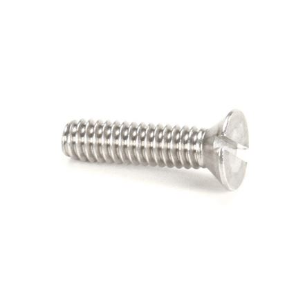 Picture of Screw Sfms 1/4-20 X 7/8Wtrcs for Beverage Air Part# 603-447A