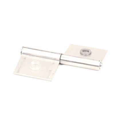 Picture of Hinge, Flag 3 M75-5003 for Randell Part# HD HNG300