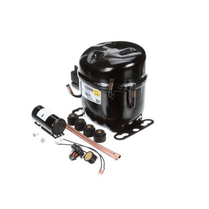 Picture of Compressor, 1/3 Hp Lo R404A 115V (Ae2415Z-Aa1A) for Randell Part# RF CMP1406