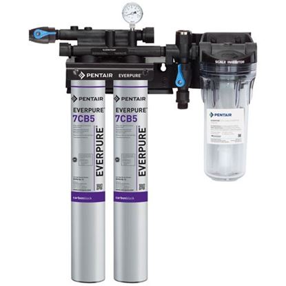Picture of Kleensteam Ii Twin System for Everpure Part# EV9797-22