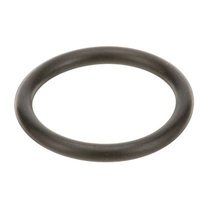 Picture of O-Ring,Plunger (Osw) for AllPoints Part# 1001044